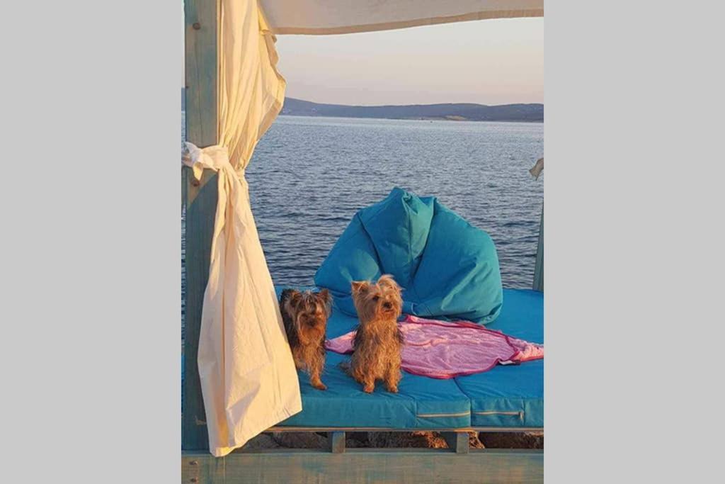 Ribarić Villa Banjol Bagian luar foto